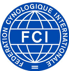 index-FCI
